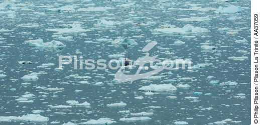 Late summer on the west coast of Greenland [AT] - © Philip Plisson / Plisson La Trinité / AA37059 - Photo Galleries - Iceberg