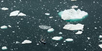 Fin d'été sur la côte ouest du Groenland © Philip Plisson / Plisson La Trinité / AA37070 - Nos reportages photos - Pêche