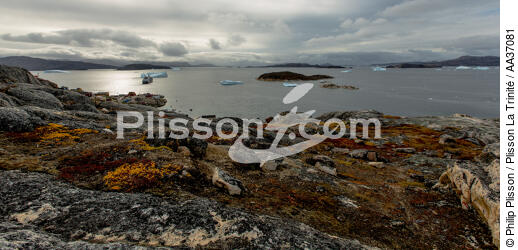 Fin d'été sur la côte ouest du Groenland - © Philip Plisson / Plisson La Trinité / AA37081 - Nos reportages photos - Environnement
