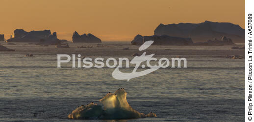 Fin d'été sur la côte ouest du Groenland - © Philip Plisson / Plisson La Trinité / AA37089 - Nos reportages photos - Groenland