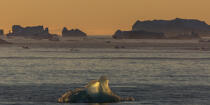 Late summer on the west coast of Greenland [AT] © Philip Plisson / Plisson La Trinité / AA37089 - Photo Galleries - Iceberg