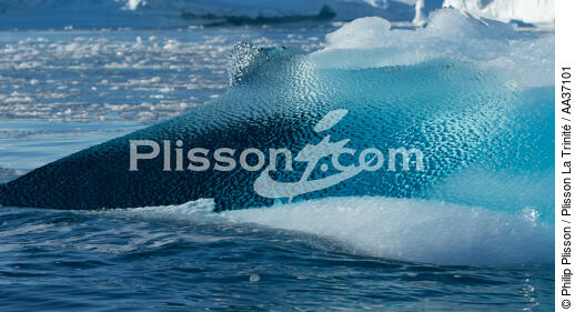 Fin d'été sur la côte ouest du Groenland - © Philip Plisson / Plisson La Trinité / AA37101 - Nos reportages photos - Iceberg