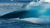 Fin d'été sur la côte ouest du Groenland © Philip Plisson / Plisson La Trinité / AA37101 - Nos reportages photos - Iceberg
