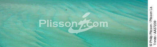 Lagon au nord de Salary - © Philip Plisson / Plisson La Trinité / AA37239 - Nos reportages photos - Paysage littoral