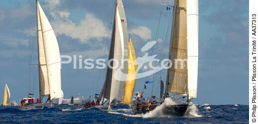  - © Philip Plisson / Plisson La Trinité / AA37313 - Photo Galleries - Racing