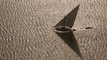 The Nil delta - Egypte © Philip Plisson / Plisson La Trinité / AA37356 - Photo Galleries - Boat