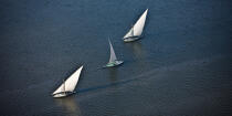 The Nil delta - Egypte © Philip Plisson / Plisson La Trinité / AA37358 - Photo Galleries - Boat