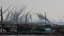 Le Delta du Nil - Egypte © Philip Plisson / Plisson La Trinité / AA37365 - Nos reportages photos - Activité maritime