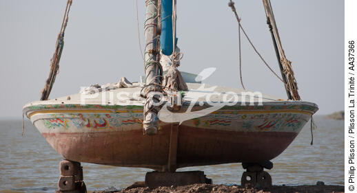 The Nil delta - Egypte - © Philip Plisson / Plisson La Trinité / AA37366 - Photo Galleries - Maritime activity