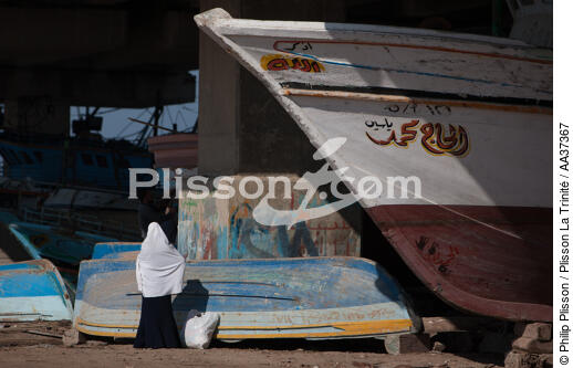 The Nil delta - Egypte - © Philip Plisson / Plisson La Trinité / AA37367 - Photo Galleries - Site of interest [Egypt]