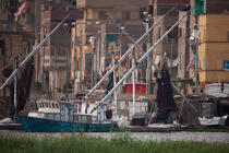 Le Delta du Nil - Egypte © Philip Plisson / Plisson La Trinité / AA37373 - Nos reportages photos - Delta du Nil