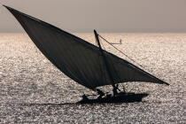 The Nil delta - Egypte © Philip Plisson / Plisson La Trinité / AA37375 - Photo Galleries - Fishing vessel