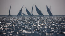 Le Delta du Nil - Egypte © Philip Plisson / Plisson La Trinité / AA37378 - Nos reportages photos - Activité maritime