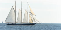 Atlantic sail Boat © Philip Plisson / Plisson La Trinité / AA37389 - Photo Galleries - Schooner [Yachting]