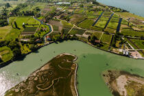 Sant'Erasmo island © Philip Plisson / Plisson La Trinité / AA37480 - Photo Galleries - Aerial shot