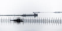 Fishing in the lagoon of Venice © Philip Plisson / Plisson La Trinité / AA37488 - Photo Galleries - Environment