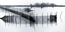 Fishing in the lagoon of Venice © Philip Plisson / Plisson La Trinité / AA37489 - Photo Galleries - Maritime activity