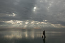 La lagune de Venise © Philip Plisson / Plisson La Trinité / AA37490 - Nos reportages photos - Environnement