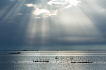 La lagune de Venise © Philip Plisson / Plisson La Trinité / AA37493 - Nos reportages photos - Pêche