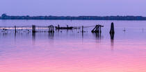 La lagune de Venise © Philip Plisson / Plisson La Trinité / AA37495 - Nos reportages photos - Environnement