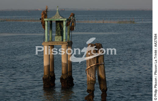 In the Venice Lagoon [AT] - © Philip Plisson / Plisson La Trinité / AA37684 - Photo Galleries - Canaval of Venice