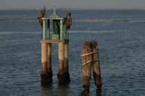 In the Venice Lagoon [AT] © Philip Plisson / Plisson La Trinité / AA37684 - Photo Galleries - Venetian lagoon