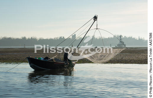 La pêche dans la lagune de Venise - © Philip Plisson / Plisson La Trinité / AA37686 - Nos reportages photos - Pêche