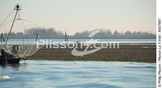 Fishing in the lagoon of Venice - © Philip Plisson / Plisson La Trinité / AA37687 - Photo Galleries - Canaval of Venice
