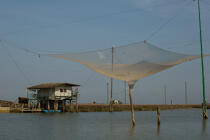 La pêche dans la lagune de Venise © Philip Plisson / Plisson La Trinité / AA37688 - Nos reportages photos - Activité maritime