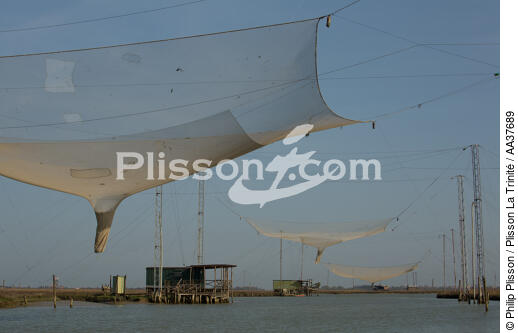 La pêche dans la lagune de Venise - © Philip Plisson / Plisson La Trinité / AA37689 - Nos reportages photos - La Lagune de Venise
