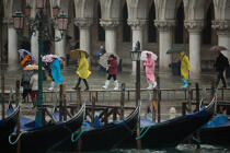 High tide in Venice © Philip Plisson / Plisson La Trinité / AA37733 - Photo Galleries - Environment
