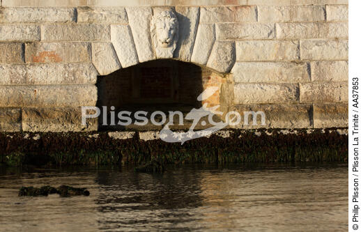 Dans la lagune de venise - © Philip Plisson / Plisson La Trinité / AA37853 - Nos reportages photos - Lagune de Venise
