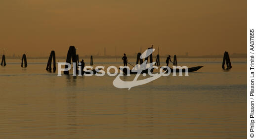 Dans la lagune de venise - © Philip Plisson / Plisson La Trinité / AA37855 - Nos reportages photos - Lagune de Venise
