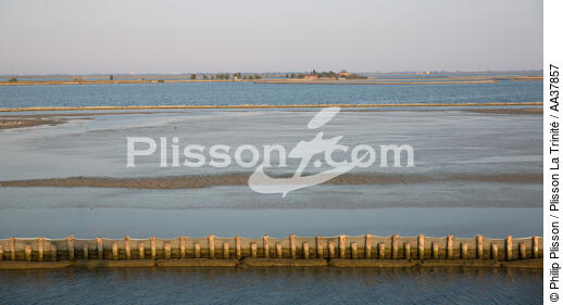 Dans la lagune de venise - © Philip Plisson / Plisson La Trinité / AA37857 - Nos reportages photos - Lagune de Venise