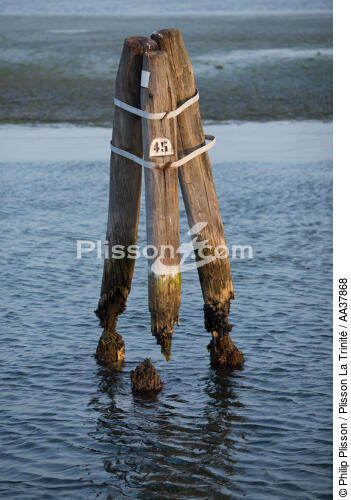 Dans la lagune de venise - © Philip Plisson / Plisson La Trinité / AA37868 - Nos reportages photos - Vertical