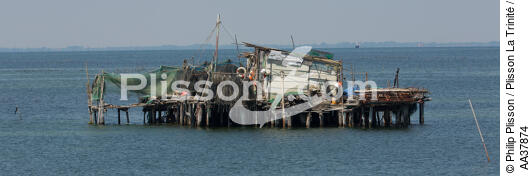 L'activité conchylicole dans la lagune de Venise - © Philip Plisson / Plisson La Trinité / AA37874 - Nos reportages photos - Site [It]