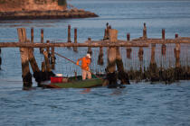 L'activité conchylicole dans la lagune de Venise © Philip Plisson / Plisson La Trinité / AA37885 - Nos reportages photos - La Lagune de Venise