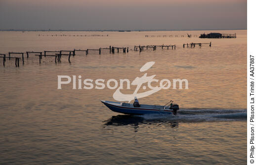 L'activité conchylicole dans la lagune de Venise - © Philip Plisson / Plisson La Trinité / AA37887 - Nos reportages photos - Horizontal