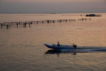L'activité conchylicole dans la lagune de Venise © Philip Plisson / Plisson La Trinité / AA37887 - Nos reportages photos - Activité maritime