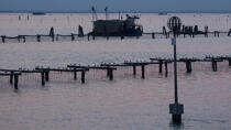 L'activité conchylicole dans la lagune de Venise © Philip Plisson / Plisson La Trinité / AA37889 - Nos reportages photos - La Lagune de Venise