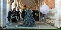 Venice Carnival [AT] © Philip Plisson / Plisson La Trinité / AA37901 - Photo Galleries - Venice