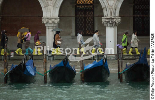 Acqua alta à Venise - © Philip Plisson / Plisson La Trinité / AA37925 - Nos reportages photos - Grande marée