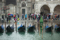 Acqua alta à Venise © Philip Plisson / Plisson La Trinité / AA37927 - Nos reportages photos - Environnement