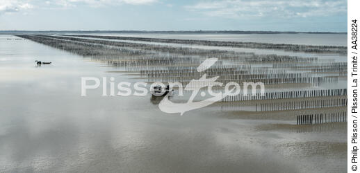 Culture de moules en baie du Mont-Saint-Michel - © Philip Plisson / Plisson La Trinité / AA38224 - Nos reportages photos - Mont-Saint-Michel [Baie du]