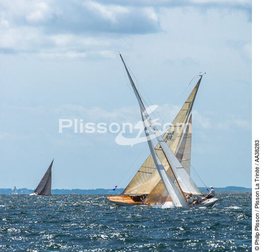 Coupe du Monde 2015 de 6 m JI à la Trinité sur mer - © Philip Plisson / Plisson La Trinité / AA38283 - Nos reportages photos - Monocoque de course