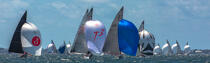 Coupe du Monde 2015 de 6 m JI à la Trinité sur mer © Philip Plisson / Plisson La Trinité / AA38284 - Nos reportages photos - Panoramique horizontal