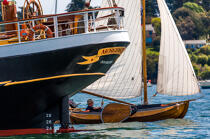 © Philip Plisson / Plisson La Trinité / AA38432 La semaine du Golfe 2015 - Photo Galleries - Boat