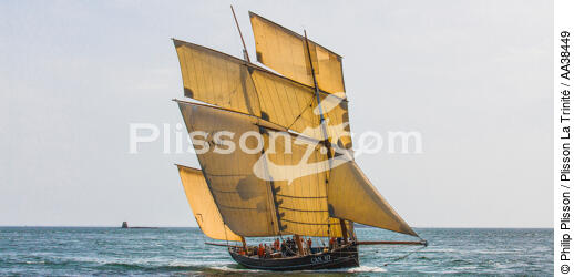 La semaine du Golfe 2015 - © Philip Plisson / Plisson La Trinité / AA38449 - Photo Galleries - Traditional sailing