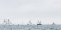 © Philip Plisson / Plisson La Trinité / AA38479 La semaine du Golfe 2015 - Photo Galleries - Traditional sailing