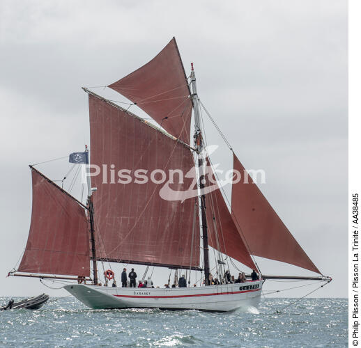 La semaine du Golfe 2015 - © Philip Plisson / Plisson La Trinité / AA38485 - Photo Galleries - Traditional sailing